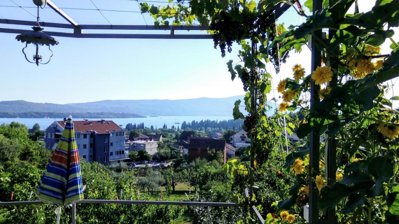 Apartmani Bosco Tivat Exterior foto